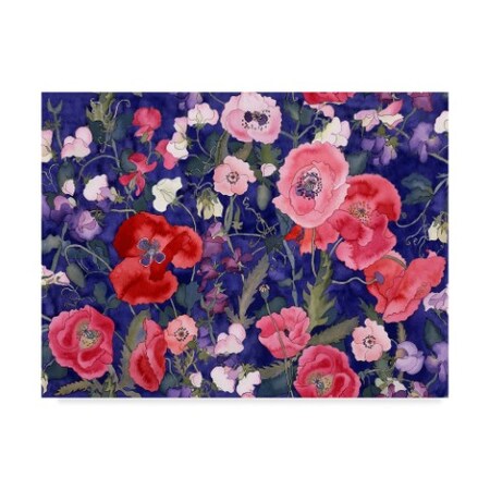 Carissa Luminess 'Poppies And Sweet Peas Dark' Canvas Art,35x47